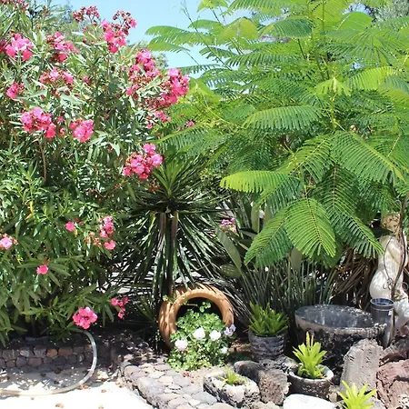 Casa Los Mangos Holiday home Los Llanos De Aridane