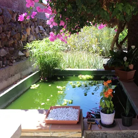 Holiday home Casa Los Mangos *